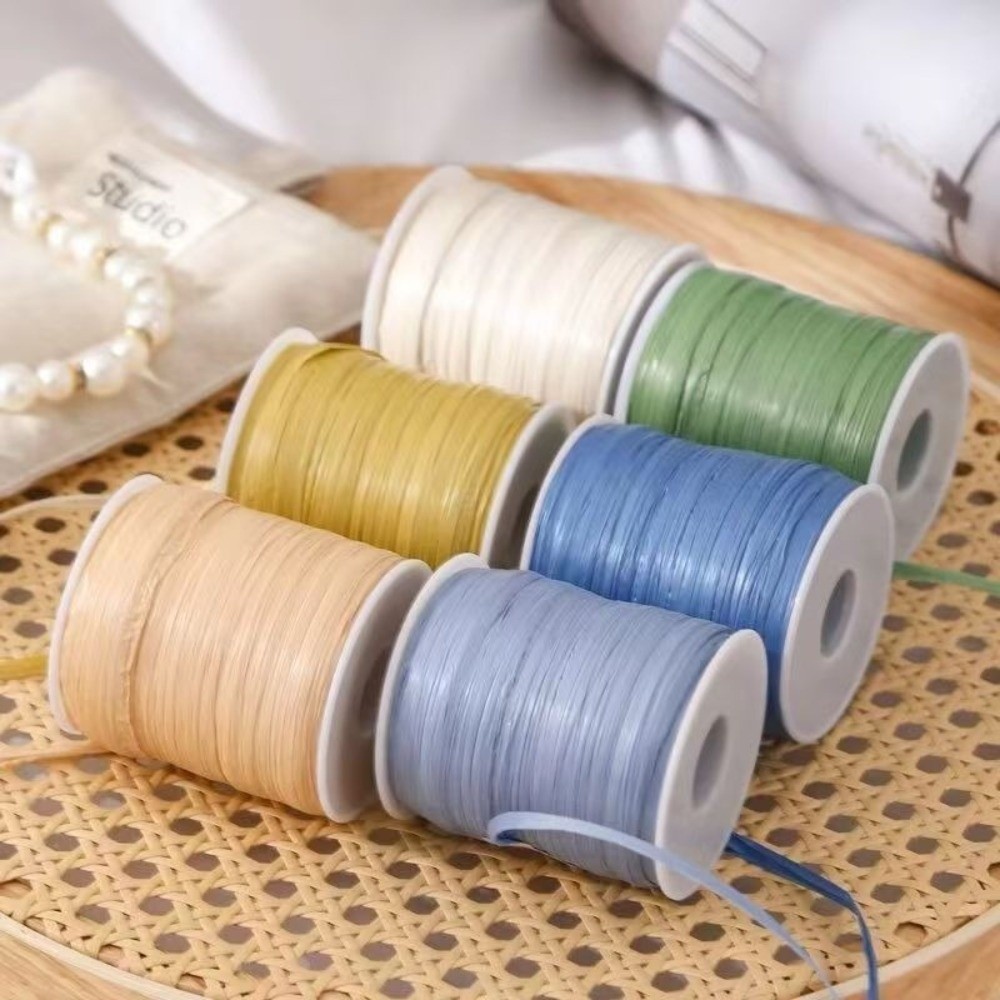 Premium Quality 120M Per Roll  - Crochet Bag Raffia ulasan dan harga